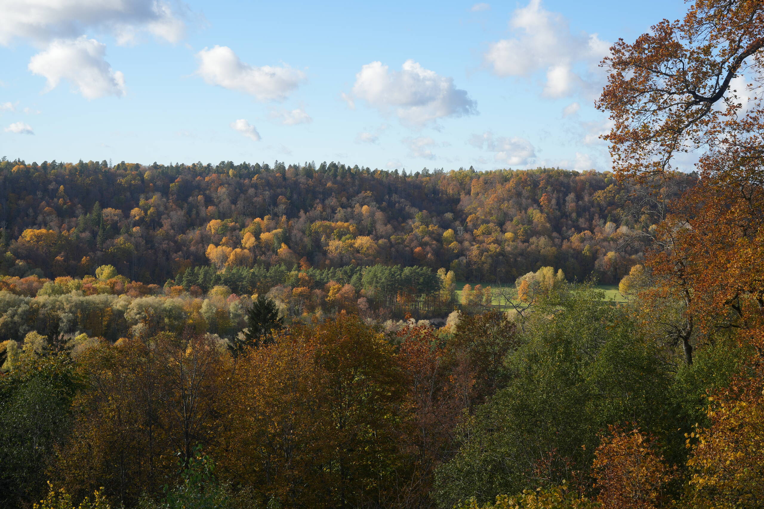 An image of nogāze 2.